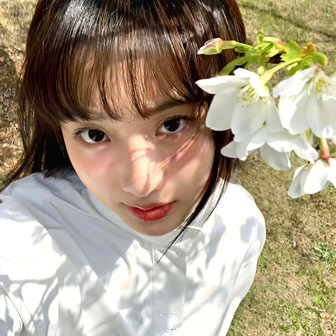 归来的瓦西里博尔特尼科夫