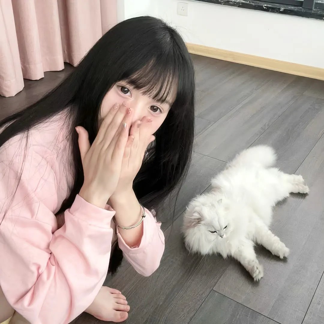 纪录综艺